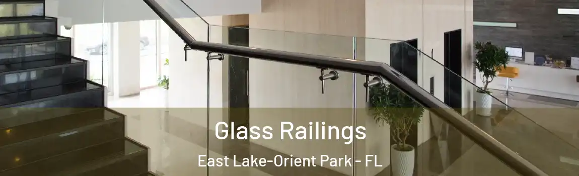 Glass Railings East Lake-Orient Park - FL