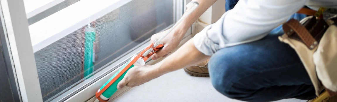 Emergency Window Replacement Services in East Lake-Orient Park, FL