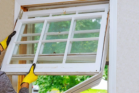 Window Replacement in East Lake-Orient Park, FL