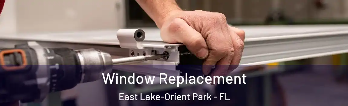  Window Replacement East Lake-Orient Park - FL